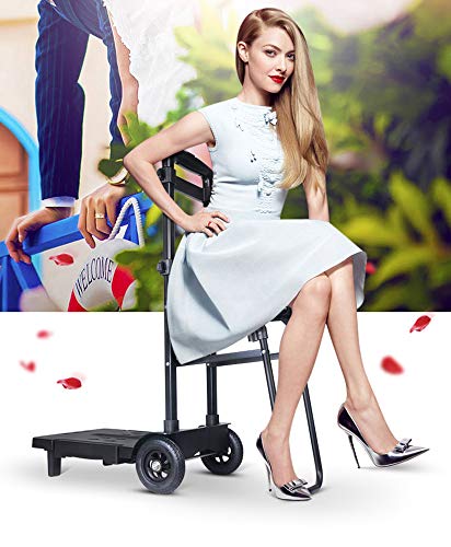 QNMM Carretilla de Mano Plegable Portátil Marco de Aluminio Fotografía Carrito de Equipaje con Asiento de Lona para Compras al Aire Libre en Interiores