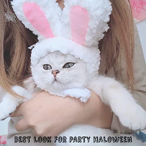 Quality Shop QS Funny Pet Dog Cat Cap Disfraz de conejo cálido para fiesta de Año Nuevo, Navidad, Cosplay orejas de conejo (30-34 cm)