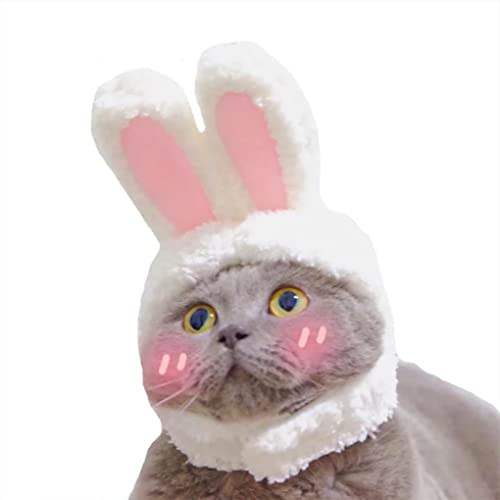 Quality Shop QS Funny Pet Dog Cat Cap Disfraz de conejo cálido para fiesta de Año Nuevo, Navidad, Cosplay orejas de conejo (30-34 cm)