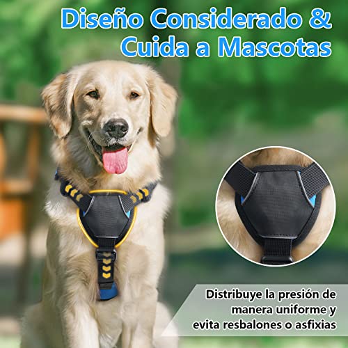 rabbitgoo Arnes Antitirones Perro Grande Mediano Ajustable con Manija de Espalda, Chaleco Acolchado Arnés para Perro Coche Lineas Reflecantes Paseo Fácil para Entrenamiento Tamaño XL Azul