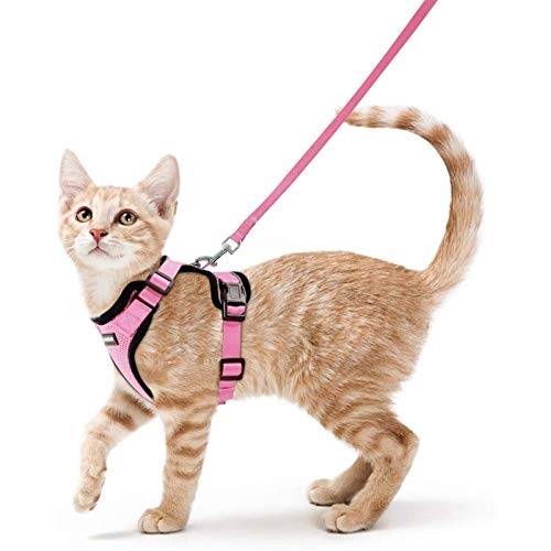 rabbitgoo Arnes Gato Antiescape,Arnés para Gato con Correa 150cm Arnes Gato Ajustable con Reflectantes de Tela de Malla Suave y Transpirable para Caminar,Entrenar,Gato Mediano y Pequeño S Rosado