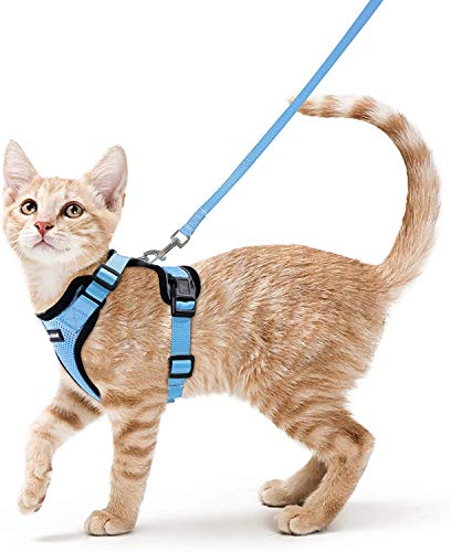 rabbitgoo Arnes Gato Antiescape,Arnés para Gato con Correa 150cm Arnes Gato Ajustable con Reflectantes de Tela de Malla Suave y Transpirable para Caminar,Entrenar,Gato Mediano y Pequeño XS Azul Cielo