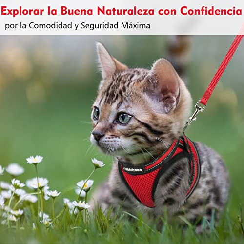rabbitgoo Arnes Gatos y Correa 150cm Chaleco Ajustable Antitirones Reflectante Cómodo Correa Mágica para Fácil de Poner y Quitar para Paseo Diario Arnes para Perro Pequeño Conejos Gatos M Rojo