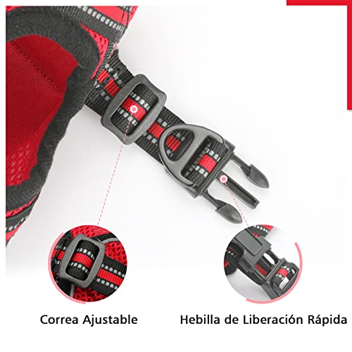 rabbitgoo Arnes Gatos y Correa 150cm Chaleco Ajustable Antitirones Reflectante Cómodo Correa Mágica para Fácil de Poner y Quitar para Paseo Diario Arnes para Perro Pequeño Conejos Gatos M Rojo