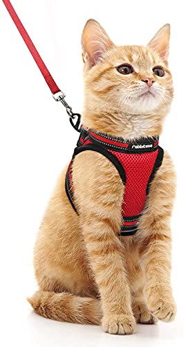rabbitgoo Arnes Gatos y Correa 150cm Chaleco Ajustable Antitirones Reflectante Cómodo Correa Mágica para Fácil de Poner y Quitar para Paseo Diario Arnes para Perro Pequeño Conejos Gatos M Rojo