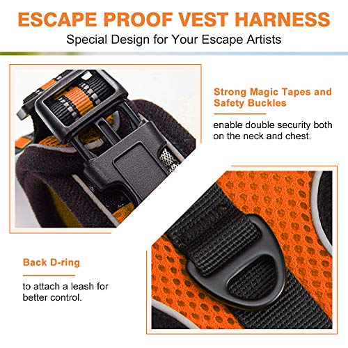 rabbitgoo Arnés para Gatos Cuerda Chaleco Ajustable Antitirones Cómodo Material fácil de Poner y Quitar para Entrenamiento Seguridad Arnes para Perro Conejos Mascotas Pequeño S Naranja