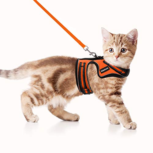 rabbitgoo Arnés para Gatos Cuerda Chaleco Ajustable Antitirones Cómodo Material fácil de Poner y Quitar para Entrenamiento Seguridad Arnes para Perro Conejos Mascotas Pequeño S Naranja