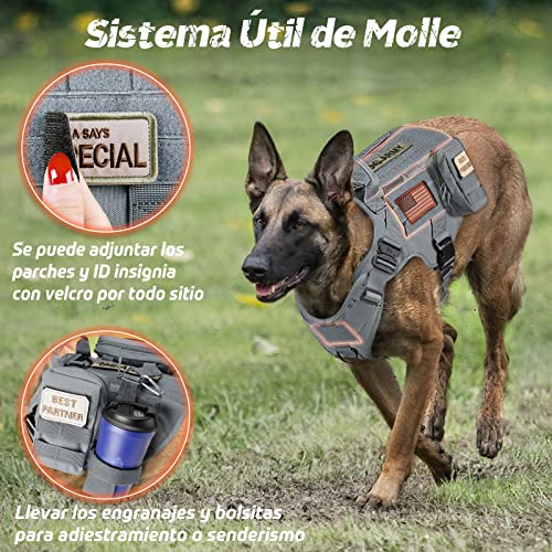 rabbitgoo Arnes Perro Grande No-Pull Arnes Perro Antitirones Técnica de Malla Transpirable Chaleco para Entrenamiento con 2 Anillos Ajustable con Técnica Molle para Entrenar Caminar Cazar Gris L