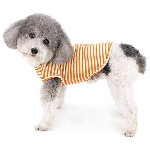 Ranphy Ropa para perros pequeños Boy Girl Puppy Shirt Daisy Pattern T-Shirts Perrito Gatito Pullover Chaleco Gato Sin Mangas Camiseta Transpirable Verano Perrito Ropa Mascota
