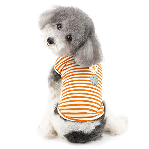 Ranphy Ropa para perros pequeños Boy Girl Puppy Shirt Daisy Pattern T-Shirts Perrito Gatito Pullover Chaleco Gato Sin Mangas Camiseta Transpirable Verano Perrito Ropa Mascota