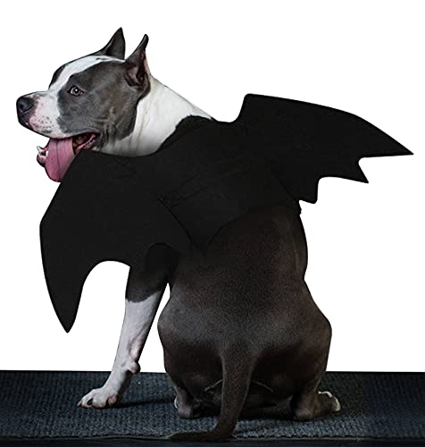 Ranvi Alas de murciélago para Perros Grandes felinos, Disfraz para decoración de Fiesta, Disfraz de Halloween para Mascotas, Disfraz de Perro, Accesorios de Ropa(S)
