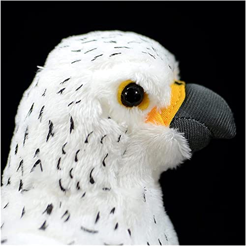 Rcsinway 25 cm suave Sea Falcon Peluche de juguete de peluche de pájaro blanco real (tamaño: 25 cm, color: Gyrfalcon)