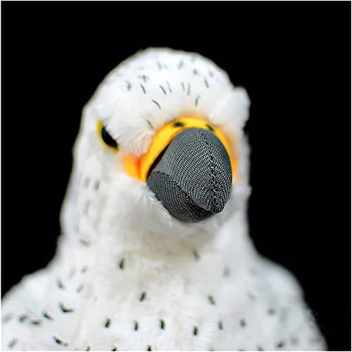 Rcsinway 25 cm suave Sea Falcon Peluche de juguete de peluche de pájaro blanco real (tamaño: 25 cm, color: Gyrfalcon)