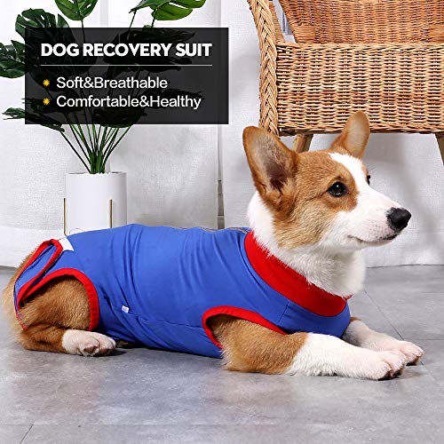 Recuperación de perro traje quirúrgico Camisa de recuperación para, cuello en forma de cono alternativo para mascotas traje quirúrgico postoperatorio heridas abdominales para evitar lamer(Azul,m)