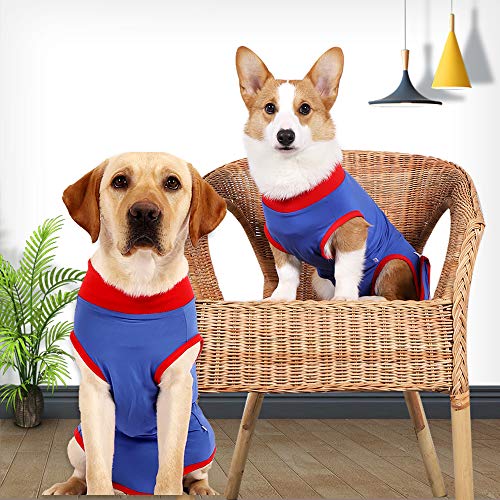 Recuperación de perro traje quirúrgico Camisa de recuperación para, cuello en forma de cono alternativo para mascotas traje quirúrgico postoperatorio heridas abdominales para evitar lamer(Azul,m)