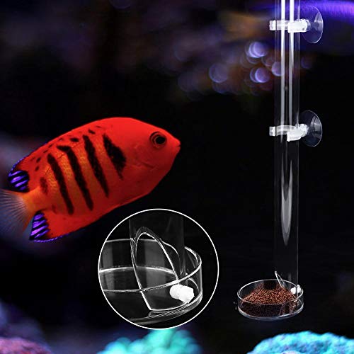 Redxiao 【𝐕𝐞𝐧𝐭𝐚 𝐑𝐞𝐠𝐚𝐥𝐨 𝐏𝐫𝐢𝐦𝐚𝒗𝐞𝐫𝐚】 Tubo de alimentación de Acuario, con 2 ventosas, alimentador de pecera Transparente, Duradero con Bandeja para Peces(Tube Length 40cm)