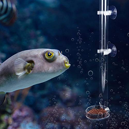 Redxiao 【𝐕𝐞𝐧𝐭𝐚 𝐑𝐞𝐠𝐚𝐥𝐨 𝐏𝐫𝐢𝐦𝐚𝒗𝐞𝐫𝐚】 Tubo de alimentación de Acuario, con 2 ventosas, alimentador de pecera Transparente, Duradero con Bandeja para Peces(Tube Length 40cm)