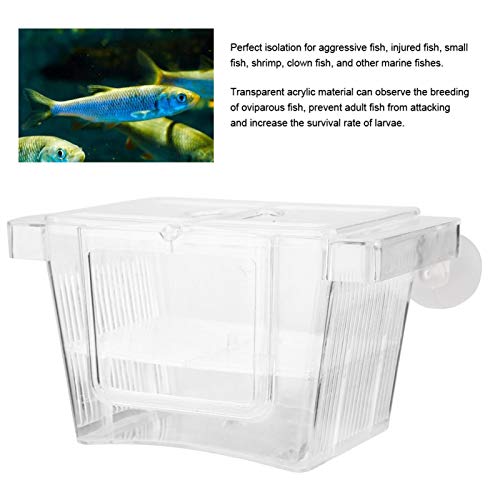Regalo de Verano Criadero de cría, pecera, criador de Peces de Acuario acrílico para Peces heridos, Peces pequeños, camarones
