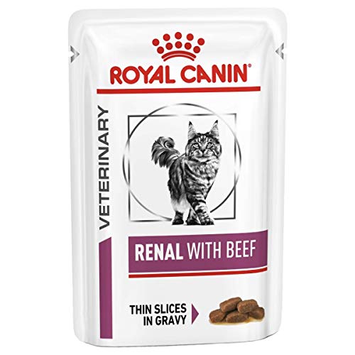 Renal Special Cat Food | Comida seca 400g, Pescado 85g, Pollo 85g, Carne 85g | Paquete de 4 con bola de juguete gratis