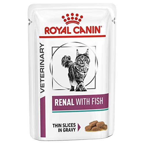 Renal Special Cat Food | Comida seca 400g, Pescado 85g, Pollo 85g, Carne 85g | Paquete de 4 con bola de juguete gratis