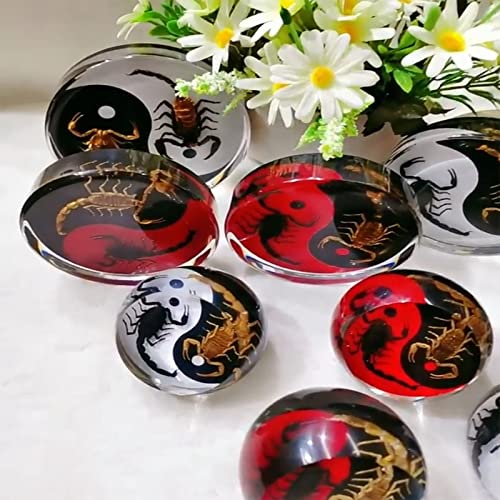 Resina de Insectos, EspéCimen Resina Insectos, Insecto en Resina Animal, ArañA EscorpióN, Chisme/Significado Paz, Adornos, Adecuado para Regalos de CumpleañOs Y Recuerdos