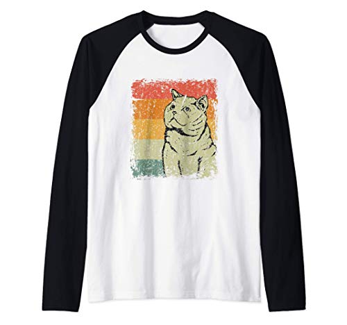 Retro Gatos Regalo Vintage Gato Británico De Pelo Corto Camiseta Manga Raglan