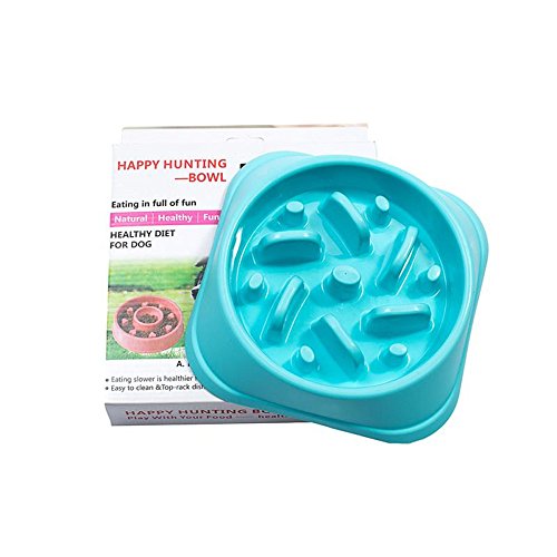 Rinsduall Cuenco para Perros Anti Schling Bowl Cuenco Slow Food para Perros/Gatos