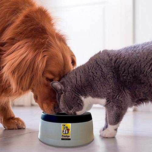 Road Refresher Non Spill Water Bowl Grey Small