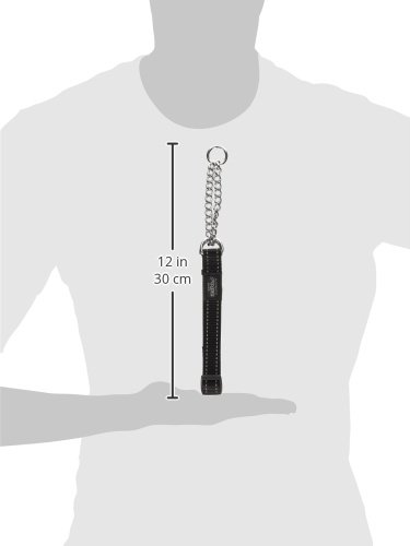 Rogz Utilidad Grande 3/4-inch Reflectante Fanbelt obediencia Half-Check Collar de Perro