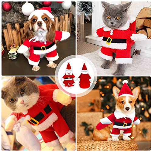 Ropa para Mascotas Santa, Perro Ropa Navidad, Ropa de Gato de Navidad, Ropa para Mascotas de Navidad, Lindo Santa Claus Ropa de Fiesta, Traje de Perro Santa (M)