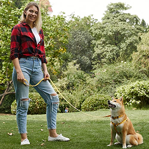 Roses&Poetry Arnés con Correa para Perros Pequeños y Gatos,Transpirable Arnés Ajustable para Perros Cachorros con Patrones Abeja Coloridas (Abeja-S)