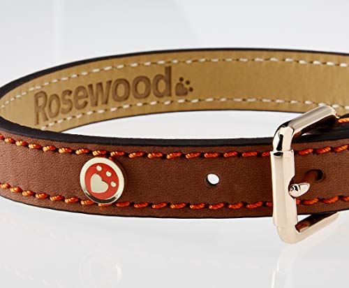 Rosewood. Collar de Lujo en Piel para Perros, Color marrón