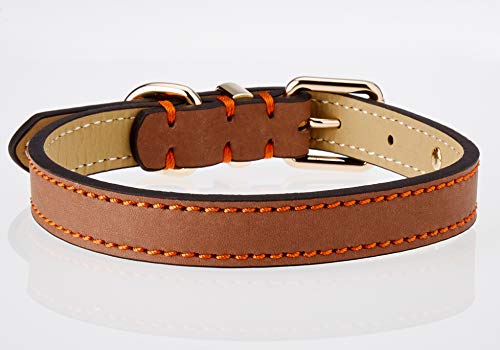 Rosewood. Collar de Lujo en Piel para Perros, Color marrón