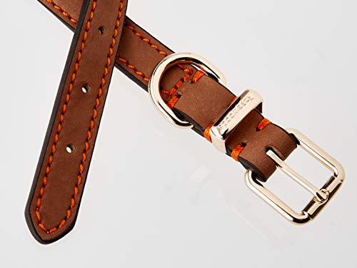 Rosewood. Collar de Lujo en Piel para Perros, Color marrón