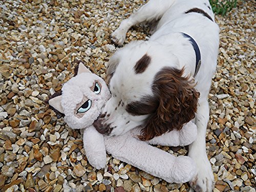 Rosewood Pet Products Gruñón Cat Disquete con Perro de Peluche Juguete