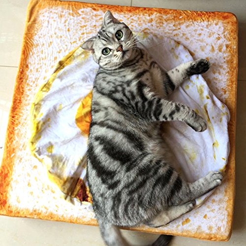 Rotyroya Caliente suave huevo frito felpa mascota gato perro manta cama Mat aire acondicionado 40cm