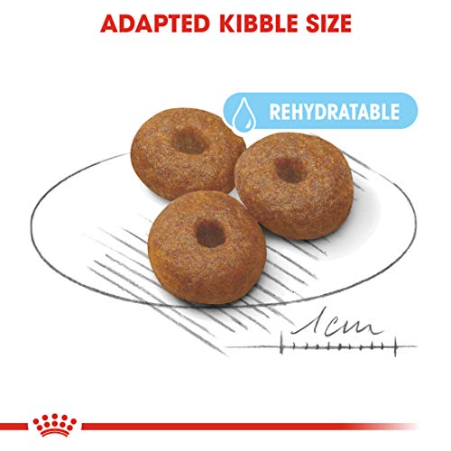 Royal Canin C-08442 S.N. Maxi Starter - 15 Kg