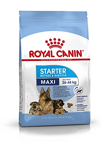 Royal Canin C-08442 S.N. Maxi Starter - 15 Kg