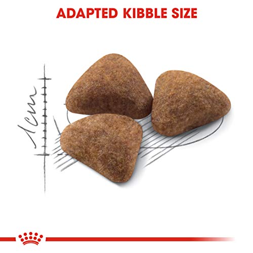 Royal Canin C-58502 Indoor - 2 Kg