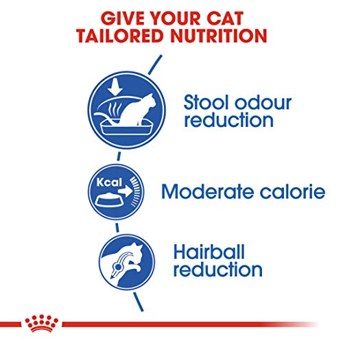 Royal Canin C-58502 Indoor - 2 Kg