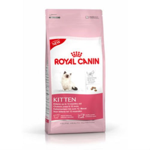 Royal Canin - Comida para gatos (10 kg)