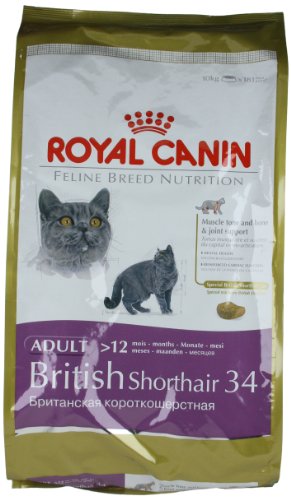 Royal Canin Comida para gatos British Shorthair 10 Kg