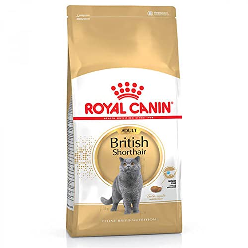 Royal Canin Comida para gatos British Shorthair 10 Kg