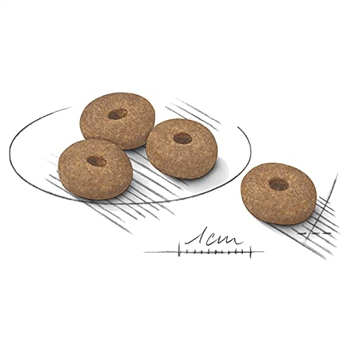 ROYAL CANIN Mini Relax Care 3KG