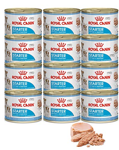 Royal Canin Mousse Mother & Baby - 12 X 195 G