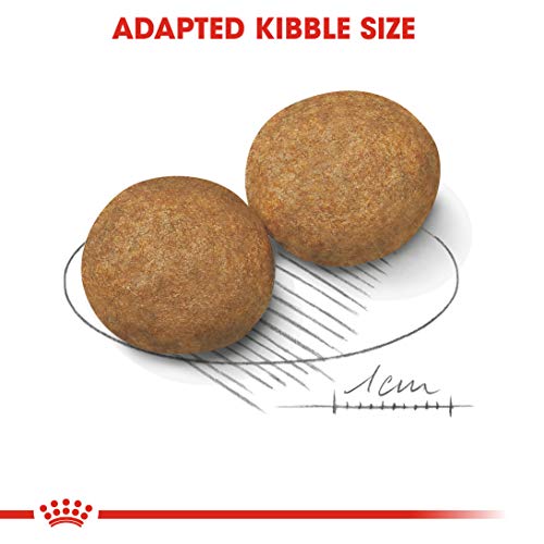 ROYAL CANIN SHN Medium Adult 4000 g