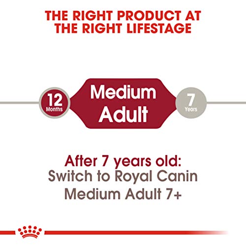 ROYAL CANIN SHN Medium Adult 4000 g