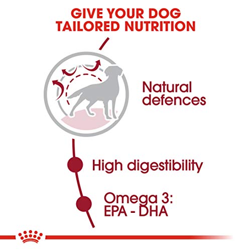 ROYAL CANIN SHN Medium Adult 4000 g