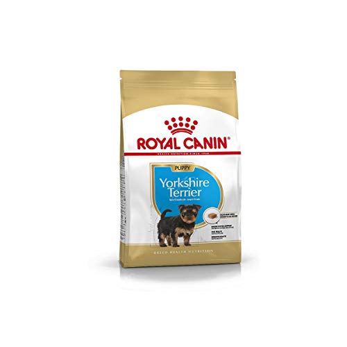 Royal Canin Yorkshire Terrier Puppy 500g