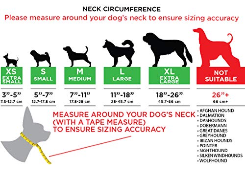 Rucal Pets Collar Inflable para Perro, Cono de recuperación, después de la cirugía de Mascotas, Evita Que los Perros muerdan y arañen, Correa Gruesa Ajustable, Suave y cómoda Roseta (XL)